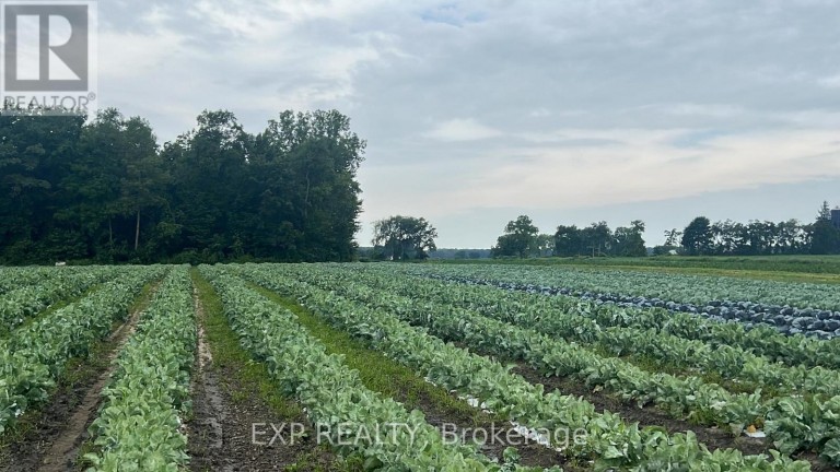 11 TUCKER STREET, Southwest Middlesex, Ontario, N0L1Z0