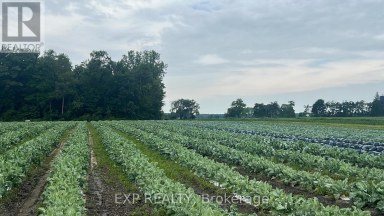 11 TUCKER STREET Southwest Middlesex Ontario photo 1