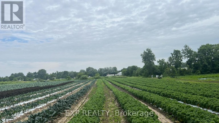 11 TUCKER STREET, Southwest Middlesex, Ontario, N0L1Z0