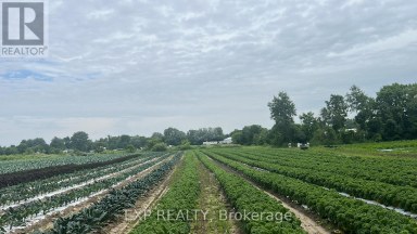 11 TUCKER STREET Southwest Middlesex Ontario photo 2