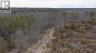 46 PEWORTH ROAD, Stone Mills (stone Mills), Ontario, K0K3N0 (ID X12928954)