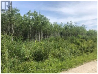 LOT9 CON7 PART 1 CROW CREEK ROAD Kapuskasing Ontario photo 7