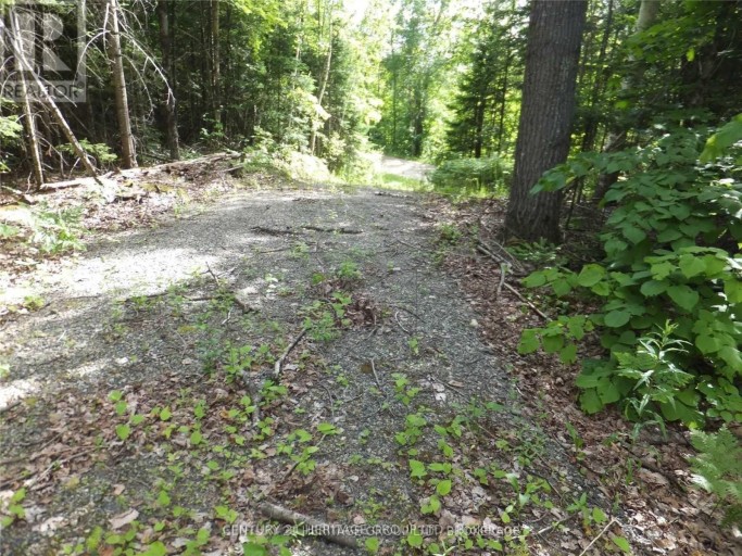2080 GLAMOR LAKE ROAD, Highlands East (Monmouth), Ontario, K0M1R0