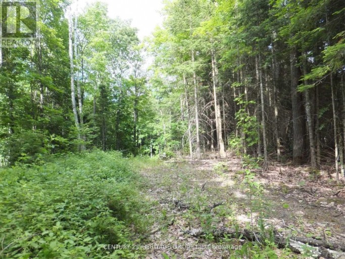2080 GLAMOR LAKE ROAD, Highlands East (Monmouth), Ontario, K0M1R0