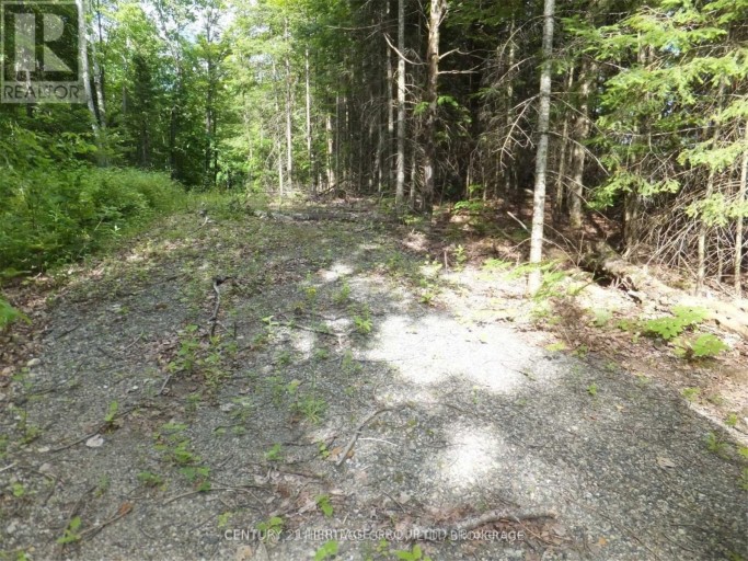 2080 GLAMOR LAKE ROAD, Highlands East (Monmouth), Ontario, K0M1R0