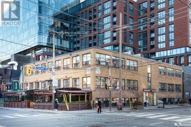 301 - 487 ADELAIDE STREET W Toronto (Waterfront Communities) Ontario photo 1