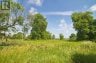 10 FRONT ROAD, Loyalist (amherst Island), Ontario, K0H2S0 (ID X12938322)