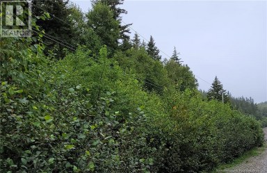 341 Fundy Drive Wilsons Beach New Brunswick photo 3