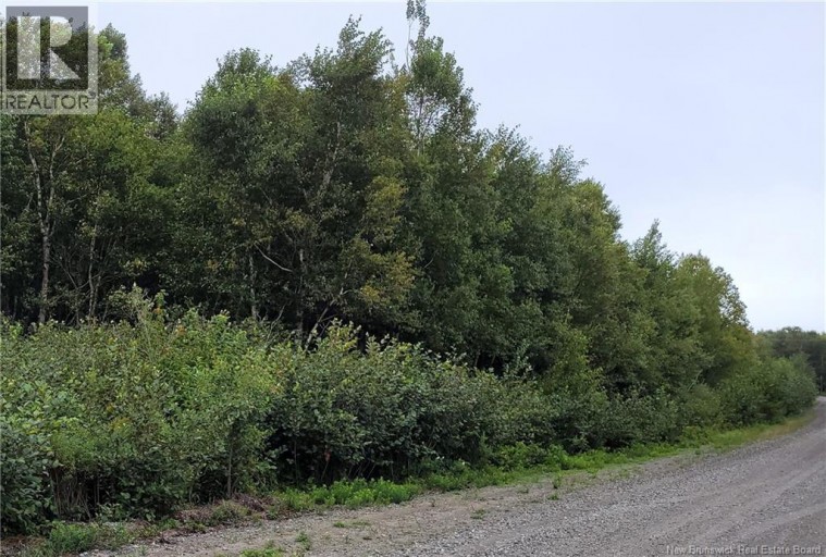 501 Fundy Drive, Wilsons Beach, New Brunswick, E5E1Y8