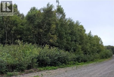 501 Fundy Drive Wilsons Beach New Brunswick photo 2