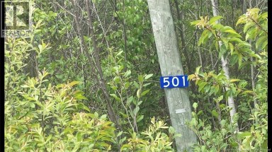 501 Fundy Drive Wilsons Beach New Brunswick photo 7