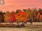 3676 Route 640, Yoho, New Brunswick, E6K2Z8 (ID NB136228)