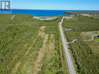 3526 COUNTY ROAD 13 ROAD Prince Edward County (South Marysburg Ward) Ontario photo 7
