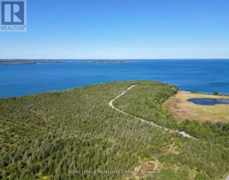3526 COUNTY ROAD 13 ROAD Prince Edward County (South Marysburg Ward) Ontario photo 8