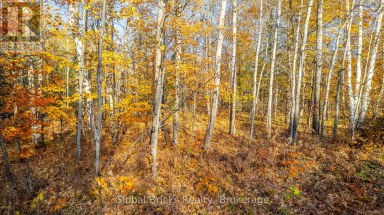0 KAWAGAMA LAKE ROAD Algonquin Highlands (Sherborne) Ontario photo 10