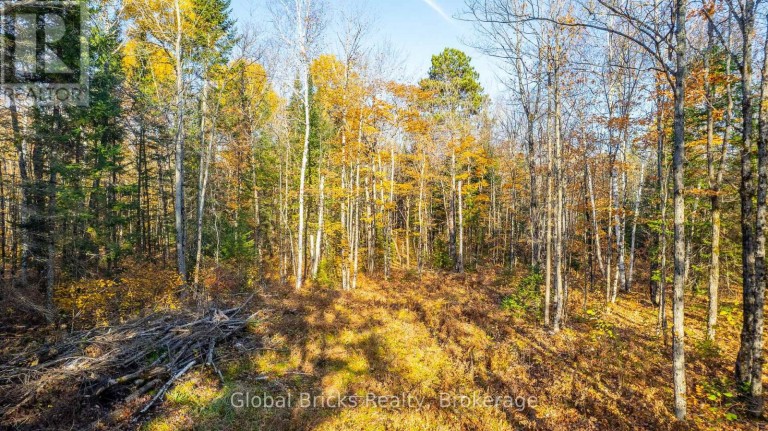 0 KAWAGAMA LAKE ROAD, Algonquin Highlands (Sherborne), Ontario, P0A1E0
