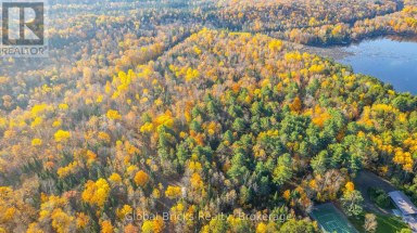0 KAWAGAMA LAKE ROAD Algonquin Highlands (Sherborne) Ontario photo 14