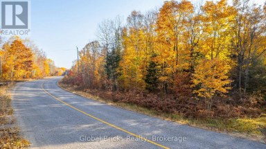 0 KAWAGAMA LAKE ROAD Algonquin Highlands (Sherborne) Ontario photo 6