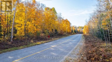 0 KAWAGAMA LAKE ROAD Algonquin Highlands (Sherborne) Ontario photo 7