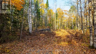 0 KAWAGAMA LAKE ROAD Algonquin Highlands (Sherborne) Ontario photo 8