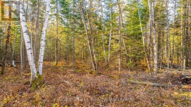 0 KAWAGAMA LAKE ROAD Algonquin Highlands (Sherborne) Ontario photo 9