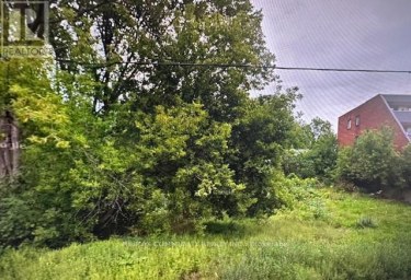 35 CHURCH STREET N New Tecumseth (Alliston) Ontario photo 3