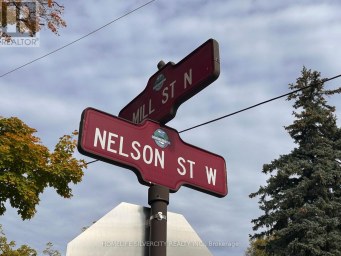 4 - 50 NELSON STREET W Brampton (Downtown Brampton) Ontario photo 3