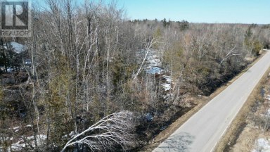 1382 WILSON POINT ROAD Orillia Ontario photo 9