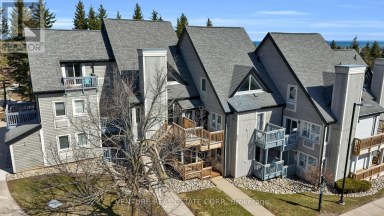 707 - 796468 GREY ROAD 19 ROAD Blue Mountains Ontario photo 2