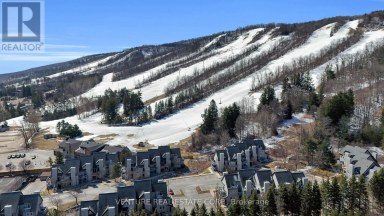 707 - 796468 GREY ROAD 19 ROAD Blue Mountains Ontario photo 4