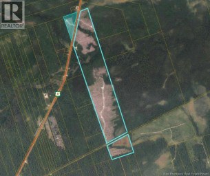 Timberland - Rte 8 Upper Blackville Upper Blackville New Brunswick photo 1