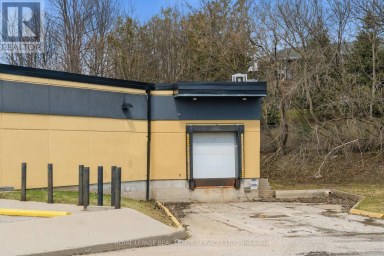 51 MILLSIDE DRIVE Milton (OM Old Milton) Ontario photo 14