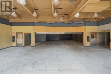 51 MILLSIDE DRIVE Milton (OM Old Milton) Ontario photo 16