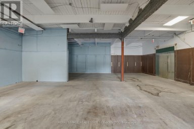 51 MILLSIDE DRIVE Milton (OM Old Milton) Ontario photo 18