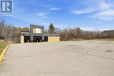 51 MILLSIDE DRIVE Milton (OM Old Milton) Ontario photo 2