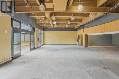 51 MILLSIDE DRIVE Milton (OM Old Milton) Ontario photo 20