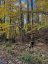 353C BALSAM CREEK ROAD, Parry Sound Remote Area (mcconkey), Ontario, P0H1S0 (ID X12987990)