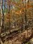 353C BALSAM CREEK ROAD, Parry Sound Remote Area (mcconkey), Ontario, P0H1S0 (ID X12987990)