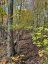 353C BALSAM CREEK ROAD, Parry Sound Remote Area (mcconkey), Ontario, P0H1S0 (ID X12987990)