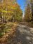353C BALSAM CREEK ROAD, Parry Sound Remote Area (mcconkey), Ontario, P0H1S0 (ID X12987990)