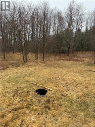 69 Boyd Road Rollingdam New Brunswick photo 36