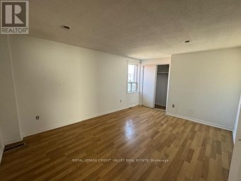 23 GEORGE STREET N Brampton (Downtown Brampton) Ontario photo 12