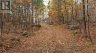 1131 MOON ROAD, Frontenac (frontenac Centre), Ontario, K0H1T0 (ID X13007518)