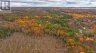 1131A MOON ROAD, Frontenac (frontenac Centre), Ontario, K0H1T0 (ID X13007536)
