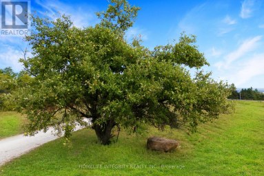 838722 4TH LINE E Mulmur Ontario photo 30