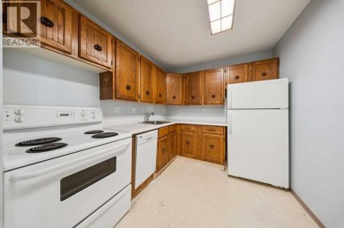 6310, 315 Southampton Drive SW Calgary Alberta photo 9
