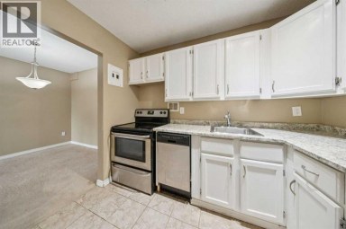 9302, 315 Southampton Drive SW Calgary Alberta photo 11