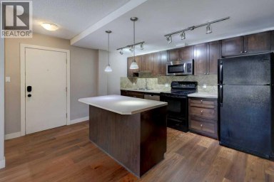 414, 1025 14 Avenue SW Calgary Alberta photo 9