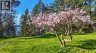 8440 Lawrence Rd, Central Saanich, British Columbia, V8M1S5 (ID 1032910)