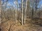 0 CALIFORNIA ROAD, Stone Mills (stone Mills), Ontario, K0K1Z0 (ID X13034840)